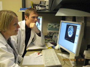 Male and female sitting looking at a computer monitor.